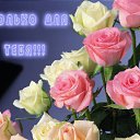 ���� ������, ����-��������� - ��������� 21 ���� 2016 � ������ ������