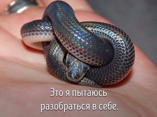 ,       - 10