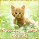 ���� ���, ���������, 44 ���� - ��������� 6 ������ 2016 � ������ �������� ��������
