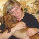 ���� �����, ���������, 55 ��� - ��������� 31 ���� 2016