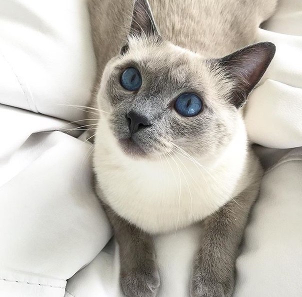 Behind blue eyes - 2