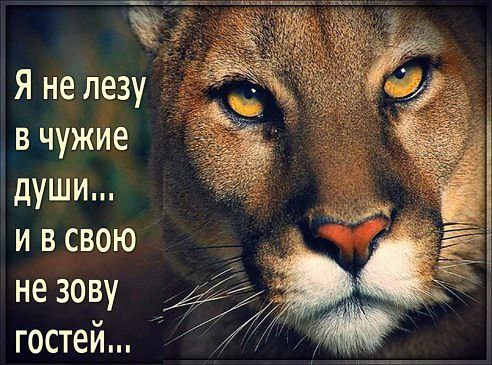 ������ ������� - 26 ������ 2016 � 16:11