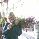 ���� ��������, ������, 49 ��� - ��������� 26 ��� 2016 � ������ ���� ����������