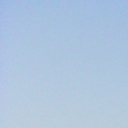 �����, ���������, 38 ���