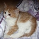 ���� ����, ��������, 64 ���� - ��������� 28 ����� 2016 � ������ ���� ����������