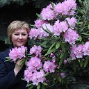  , -, 64  -  22  2016    