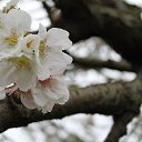���� ����, ����, 45 ��� - ��������� 17 ������ 2016 � ������ ���� ����������