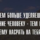 ���� ����������, ���������, 44 ���� - ��������� 31 ����� 2016 � ������ ������ ��������