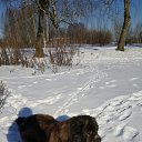  ~~, , 32  -  17  2016   2016-2017