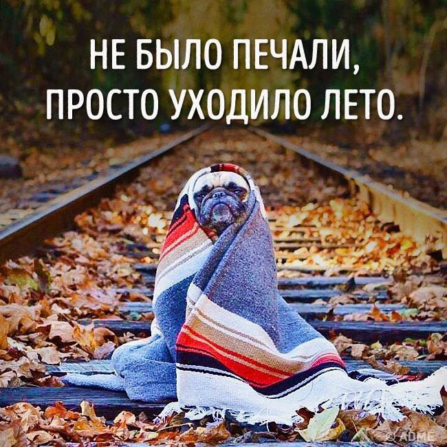  - 25  2016  10:01