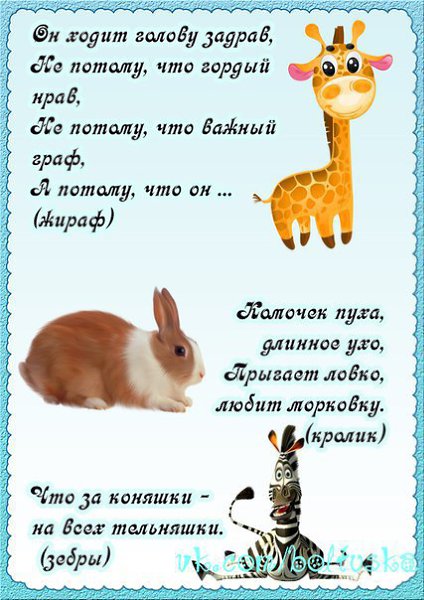 Загадки по теме