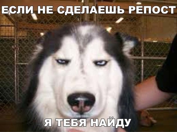    :D - 20  2016  04:01