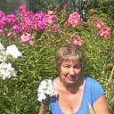 ���� Tamara ����������, ���������, 70 ��� - ��������� 4 ������ 2016 � ������ ������� ����