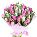 ���� *Ni��*, ������ - ��������� 6 ��� 2016 � ������ ���� ����������