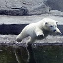 ���� Maiklai, ������, 58 ��� - ��������� 27 ������ 2016 � ������ ���� ����������