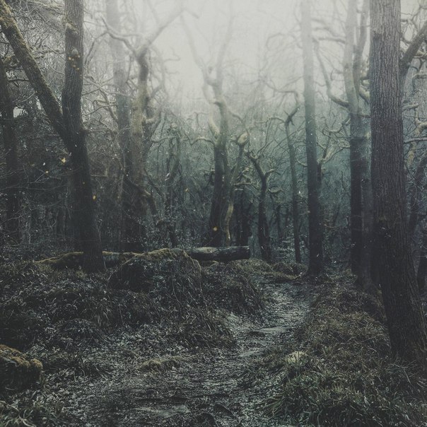 ,  Dark Souls,    . - 6