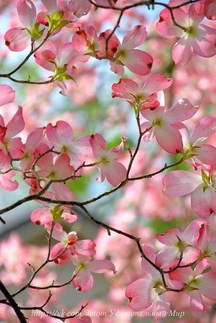 ����� ������� - 1 ������ 2016 � 23:35 - 3