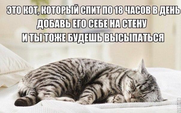 ? ,  ! - 18  2016  12:00