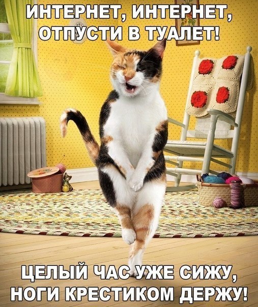    :D - 11  2016  00:32