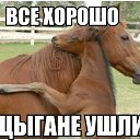  , , 40  -  20  2016    