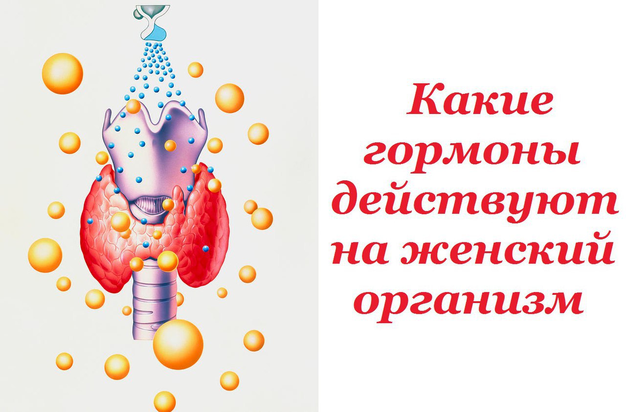 Какие гормоны действуют на женский организм.Практически во всем, что с вами происходит — от легкого ...