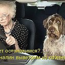 ���� �������, �������, 47 ��� - ��������� 10 ���� 2016 � ������ �����
