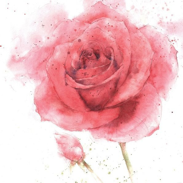 -   Rose Eddington.#@ele_art_school #@ele_art_school ... - 2