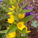 ���� �������, ��������, 59 ��� - ��������� 22 ���� 2016 � ������ ���� ����������