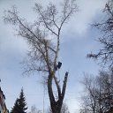 ���� ���������, ���������, 34 ���� - ��������� 19 ����� 2016 � ������ ������ ��������