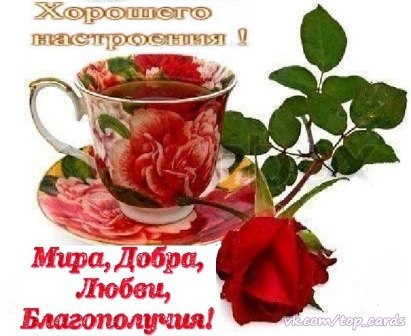 Marina - 9  2016  17:20