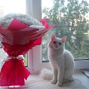 �������� ������. �� ������� ���� ����������