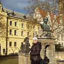 ���� ������, ���������, 41 ��� - ��������� 4 ���� 2016 � ������ ���� ����������