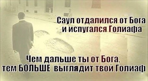   - 17  2016  08:47