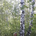 ���� Lidiya, ������������, 74 ���� - ��������� 18 ��� 2016 � ������ �� �������� �������...�