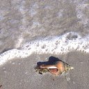 ���� Sergey, ���� ����, 59 ��� - ��������� 31 ���� 2016 � ������ ���������