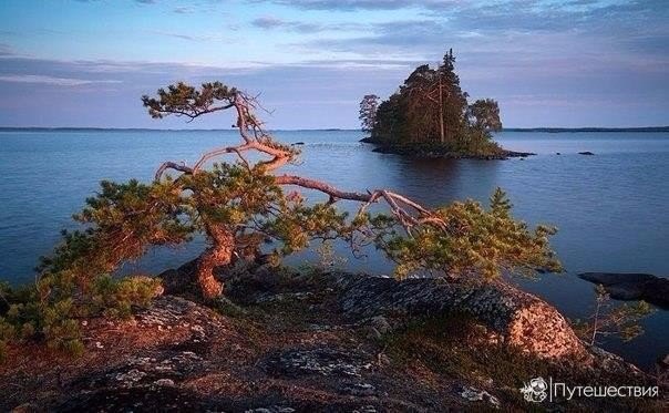       .   https://fotostrana.ru/away?to=/sl/KE2 https://fotostrana.ru/away?to=/sl/p53 - 2