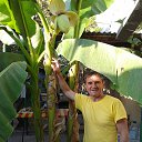 ���� ������ �������, �������, 67 ��� - ��������� 13 ������� 2016 � ������ ���� ����������