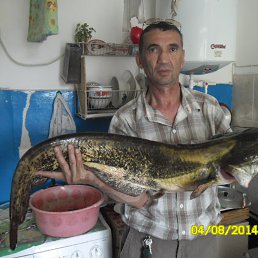 ��� �� �����