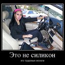 ���� ���������, �����, 46 ��� - ��������� 18 ������ 2016 � ������ ���� ����������