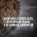 ���� Amigo!, �����-���������, 38 ��� - ��������� 22 ��� 2016 � ������ ���� ����������