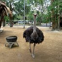 ���� ������, ������������, 69 ��� - ��������� 21 ������� 2016 � ������ ��������