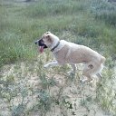  ., , 45  -  20  2016    