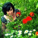 ���� �����, ������������, 50 ��� - ��������� 30 ���� 2016 � ������ ���� ����������