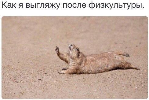 �����? ��, �� �������! - 25 ������ 2016 � 15:53