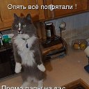 ���� �, �������-���������, 46 ��� - ��������� 20 ����� 2016 � ������ ���� ����������