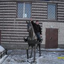 ���� Viktor, �����-���������, 42 ���� - ��������� 21 ��� 2016