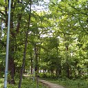 ���� �����, ������, 59 ��� - ��������� 9 ���� 2016 � ������ ���� ����������