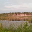 ���� ������, �������, 54 ���� - ��������� 4 ���� 2016 � ������ �������