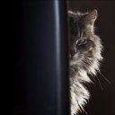 ���� ����� �����, ����, 50 ��� - ��������� 19 ���� 2016 � ������ �������� ������