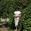 ���� ����, ������, 56 ��� - ��������� 8 �������� 2016 � ������ ���� ����������